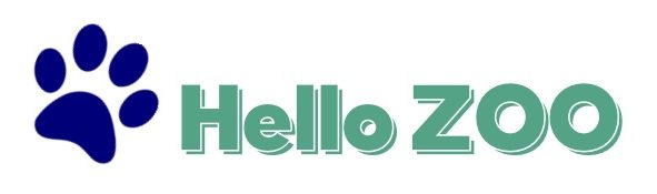 Hello ZOO